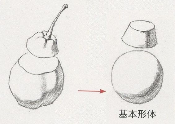 素描结构